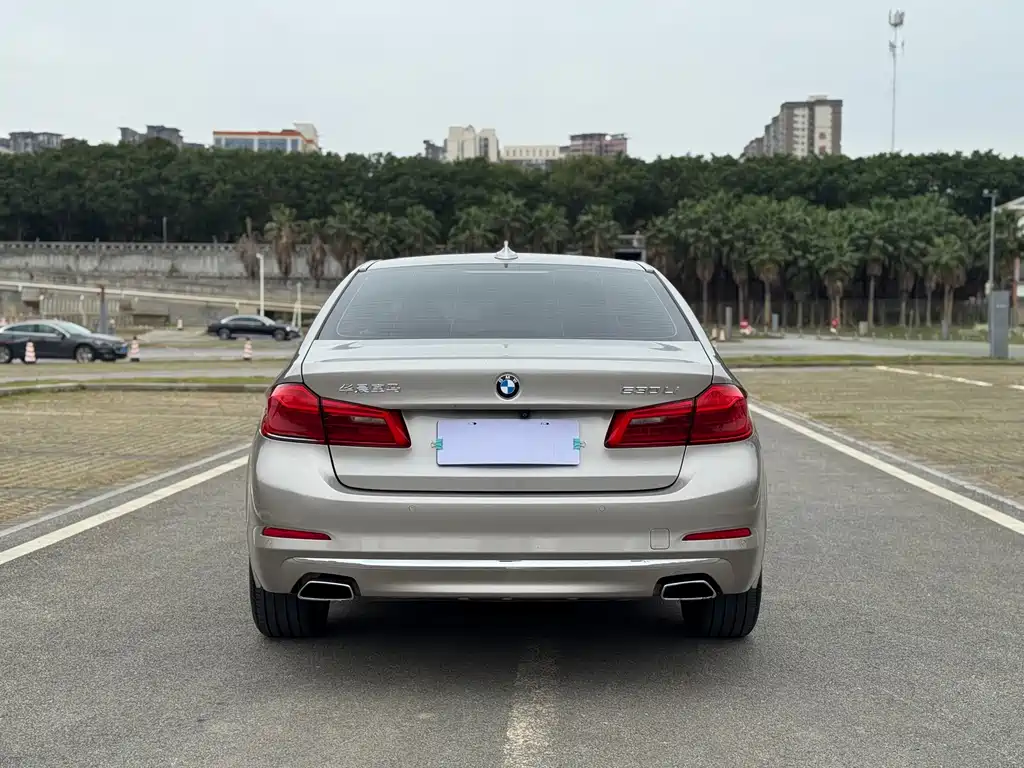 BMW BMW 5 Series 2019 Facelift 530Li Luxury Package 2019 - thumbnail 6