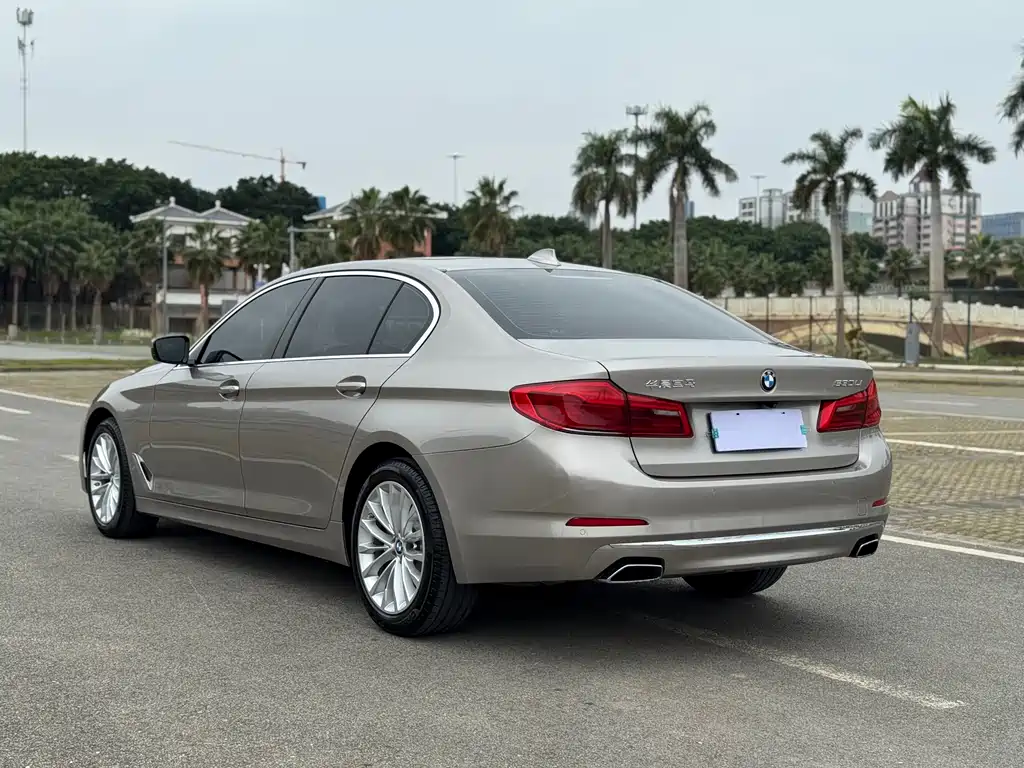 BMW BMW 5 Series 2019 Facelift 530Li Luxury Package 2019 - thumbnail 7