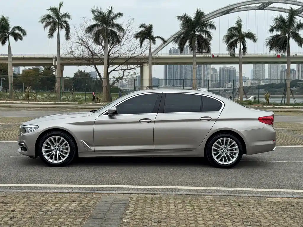 BMW BMW 5 Series 2019 Facelift 530Li Luxury Package 2019 - thumbnail 8