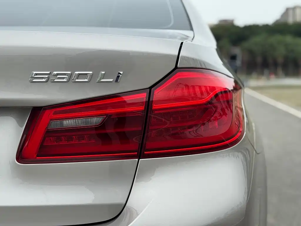 BMW BMW 5 Series 2019 Facelift 530Li Luxury Package 2019 - thumbnail 11