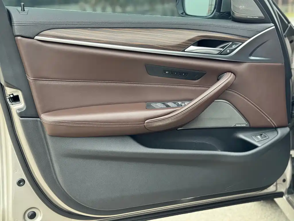 BMW BMW 5 Series 2019 Facelift 530Li Luxury Package 2019 - thumbnail 12