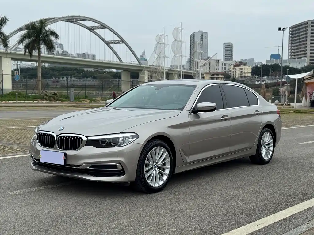 BMW BMW 5 Series 2019 Facelift 530Li Luxury Package 2019 - thumbnail 16