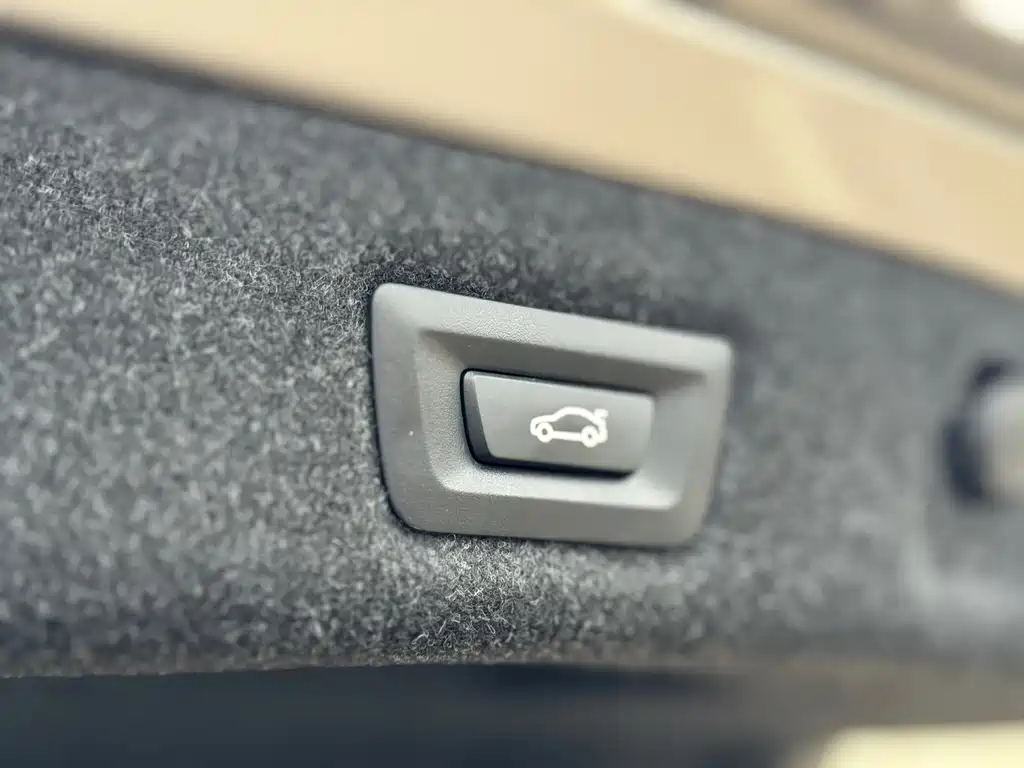 BMW BMW 5 Series 2019 Facelift 530Li Luxury Package 2019 - thumbnail 19