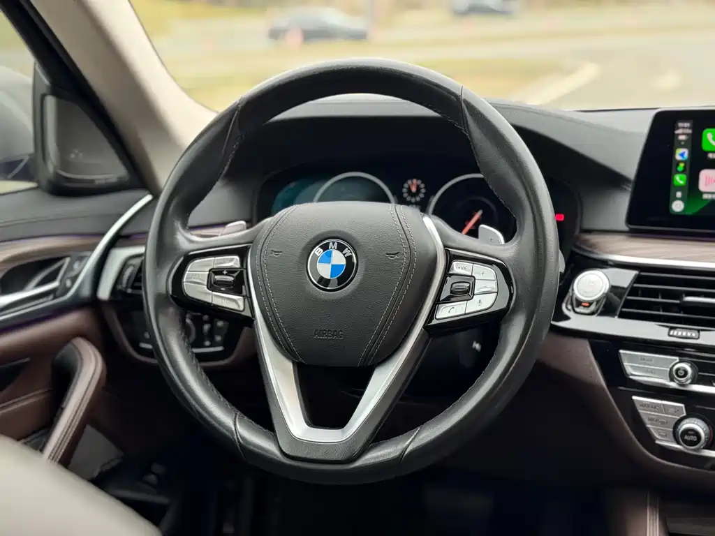 BMW BMW 5 Series 2019 Facelift 530Li Luxury Package 2019 - thumbnail 25