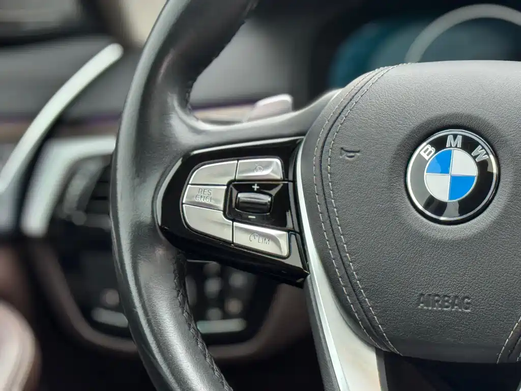 BMW BMW 5 Series 2019 Facelift 530Li Luxury Package 2019 - thumbnail 26