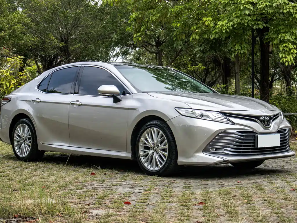 Toyota Toyota Camry 2019 2.5G Luxury Edition China VI 2020 - thumbnail 9