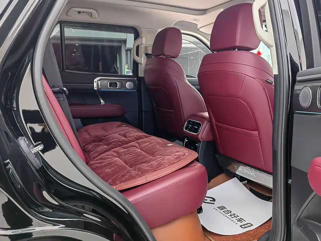 Tank Tank 400 NEV 2024 Hi4-T Off-Road Edition 2025 - thumbnail 14