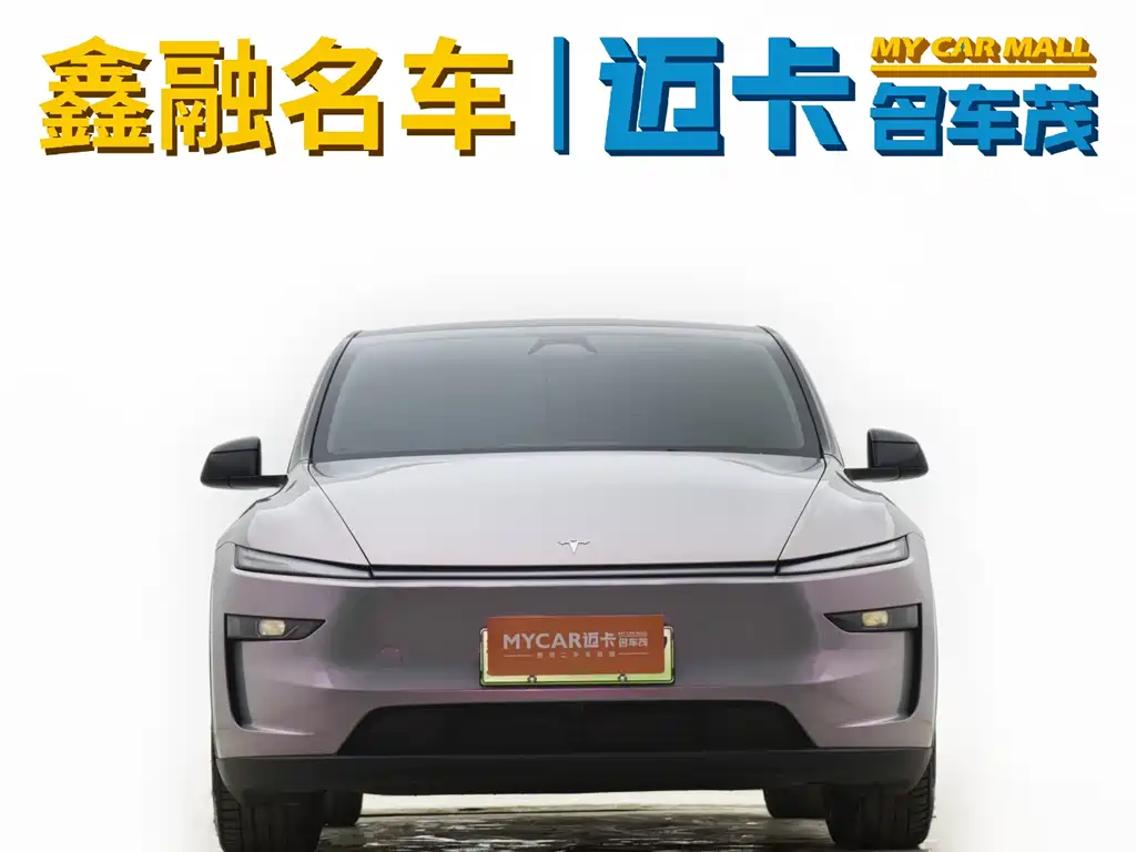 Tesla Model Y 2025 Long Range All-Wheel Drive First Edition 2025 - thumbnail 6