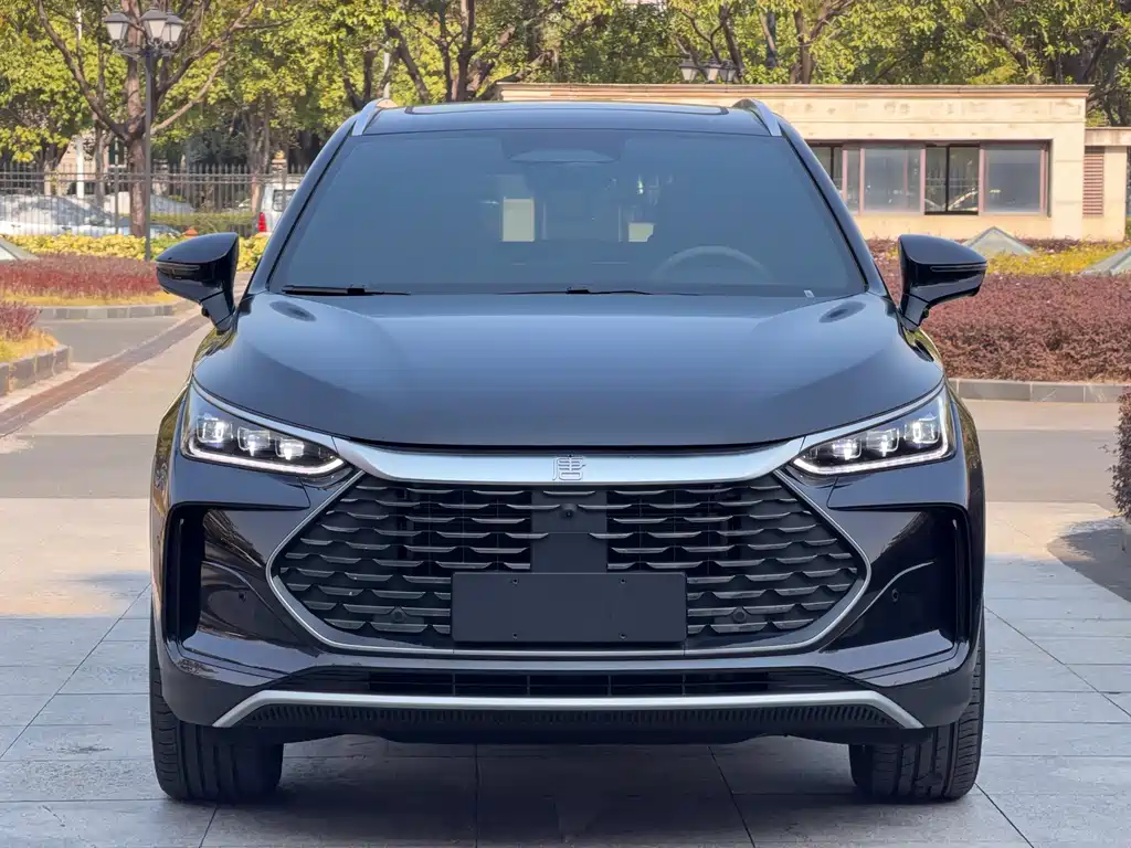 BYD BYD Tang NEV 2025 Intelligent Driving Edition DM-i 115KM Flagship Model 2025 - thumbnail 2