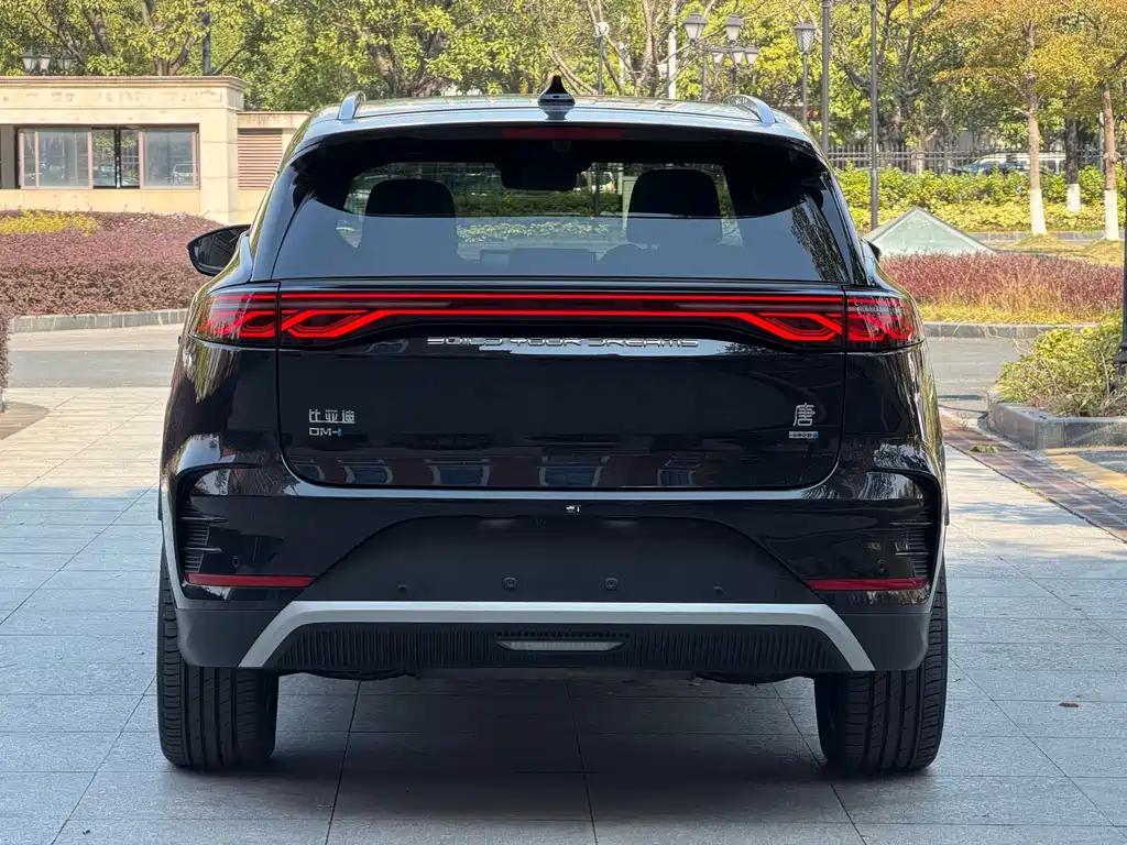 BYD BYD Tang NEV 2025 Intelligent Driving Edition DM-i 115KM Flagship Model 2025 - thumbnail 18
