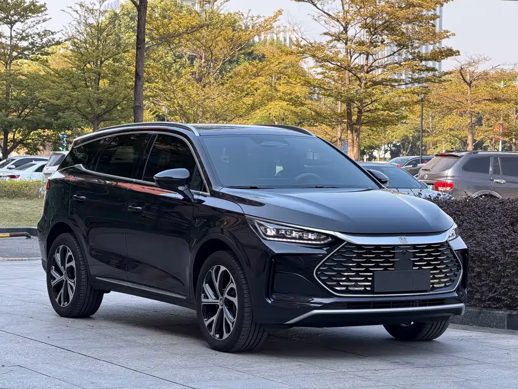 BYD BYD Tang NEV 2025 Intelligent Driving Edition DM-i 115KM Flagship Model 2025 - thumbnail 19