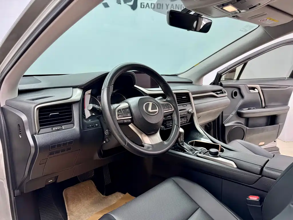 Lexus Lexus RX 300 2016 FWD Premium Edition China V 2019 - thumbnail 7