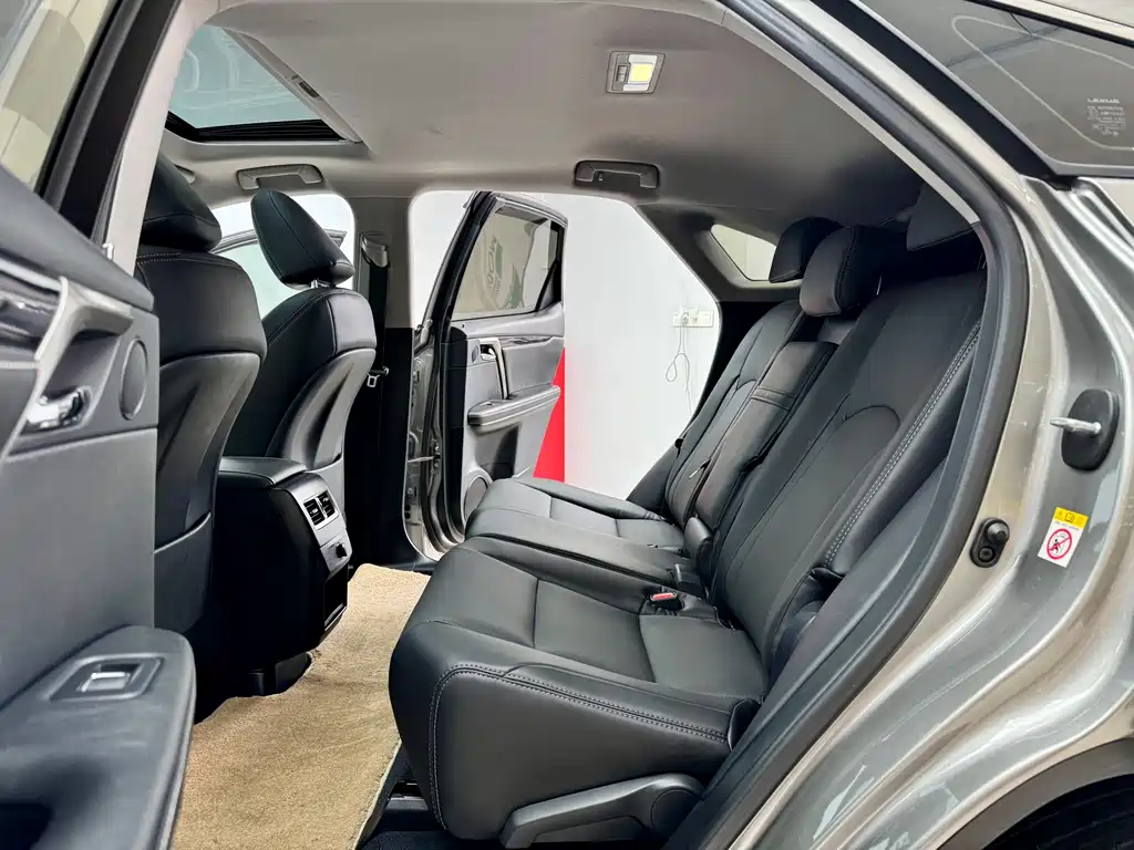 Lexus Lexus RX 300 2016 FWD Premium Edition China V 2019 - thumbnail 9