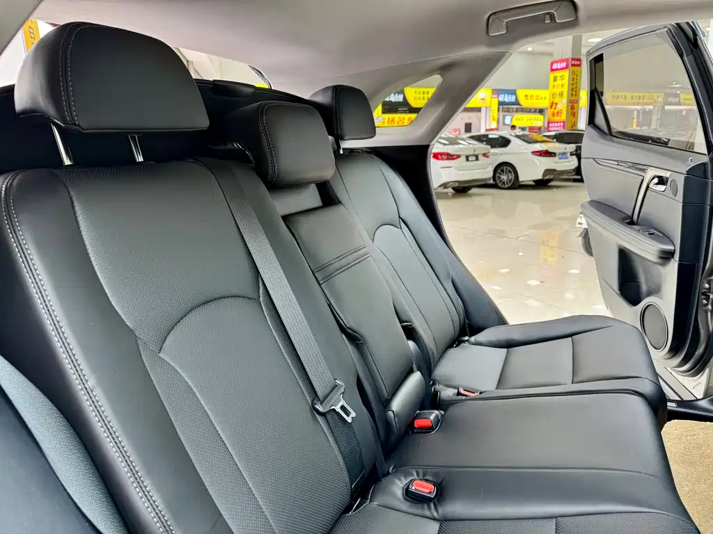Lexus Lexus RX 300 2016 FWD Premium Edition China V 2019 - thumbnail 12