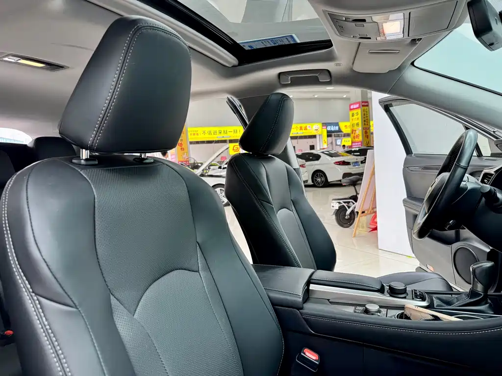 Lexus Lexus RX 300 2016 FWD Premium Edition China V 2019 - thumbnail 15