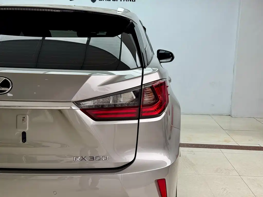 Lexus Lexus RX 300 2016 FWD Premium Edition China V 2019 - thumbnail 25