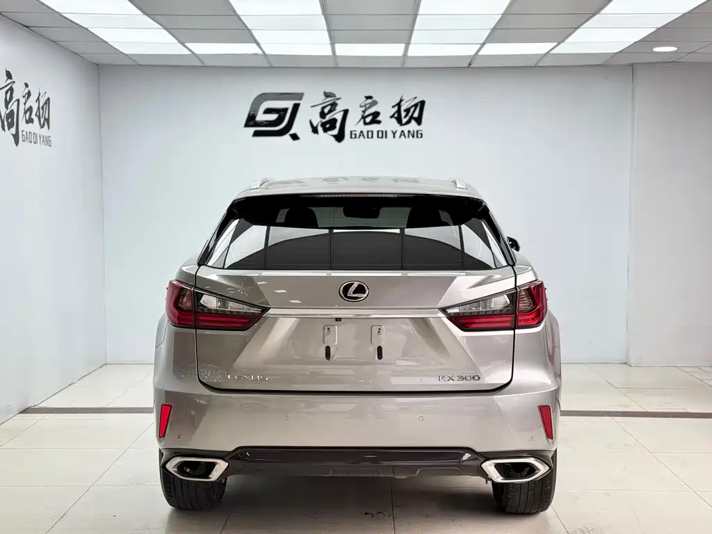 Lexus Lexus RX 300 2016 FWD Premium Edition China V 2019 - thumbnail 27