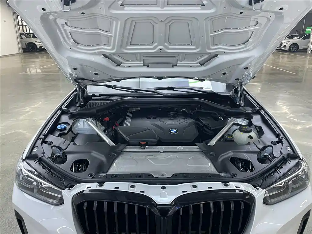 BMW BMW X3 2022 xDrive30i Leading Model M Night Package 2022 - thumbnail 28