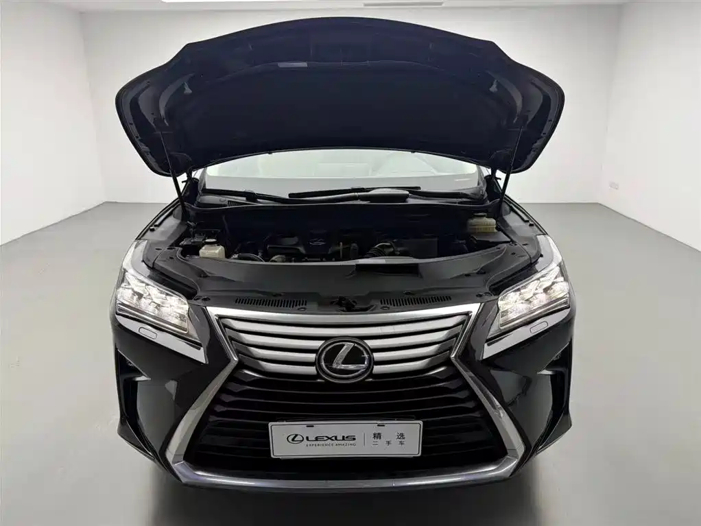 Lexus Lexus RX 300 AWD Elegant Edition 2016 Model China V 2016 - thumbnail 3