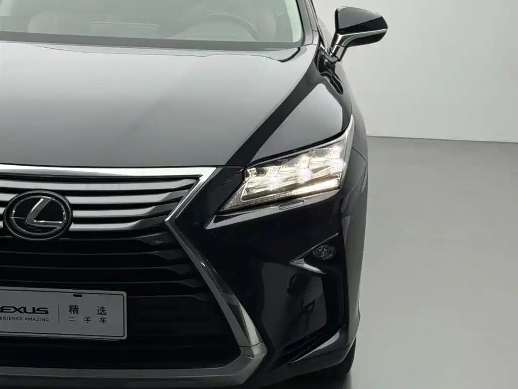 Lexus Lexus RX 300 AWD Elegant Edition 2016 Model China V 2016 - thumbnail 14