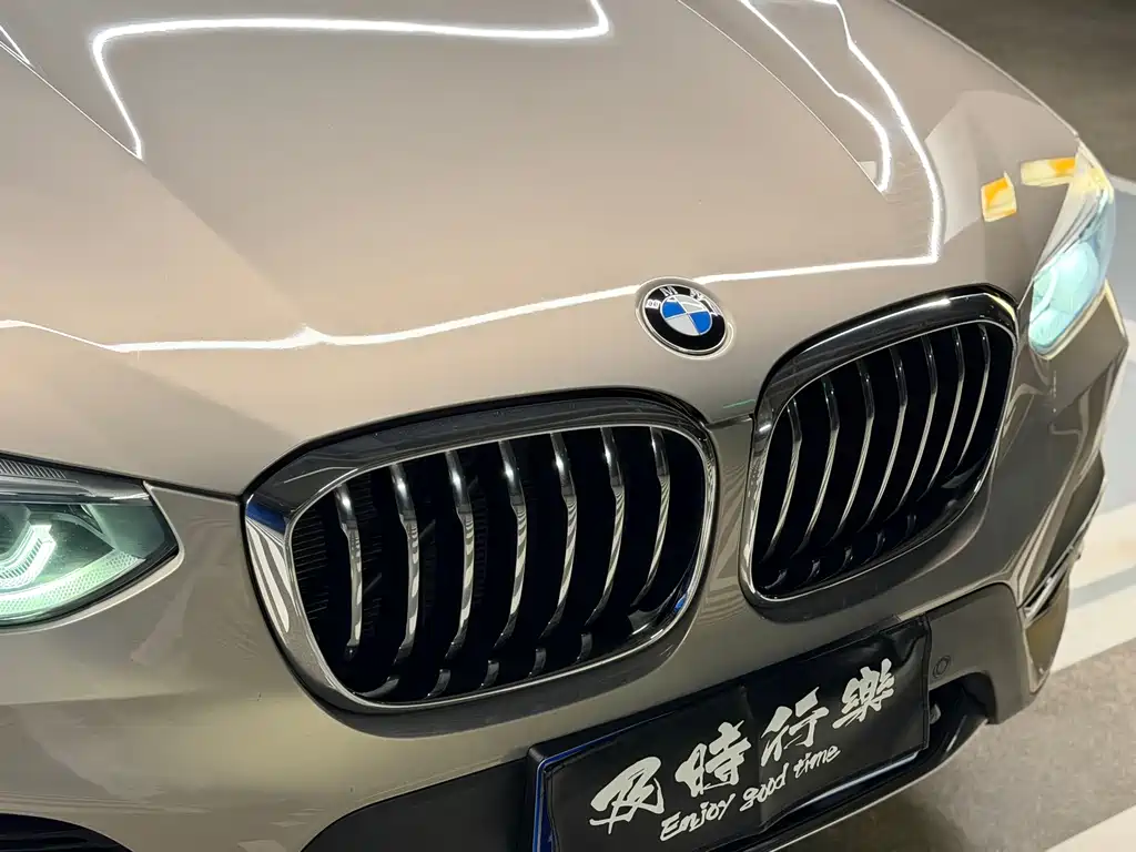 BMW BMW X3 2020 xDrive25i Luxury Package 2020 - thumbnail 6