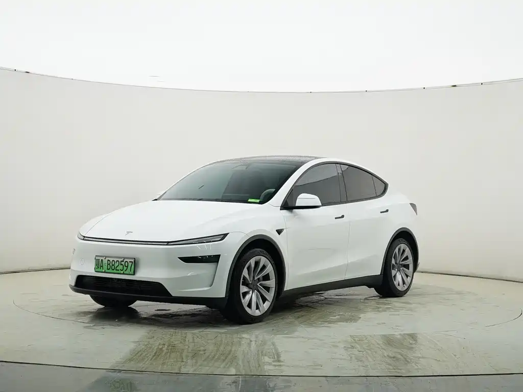 Tesla Model Y 2025 Rear-Wheel Drive 2025