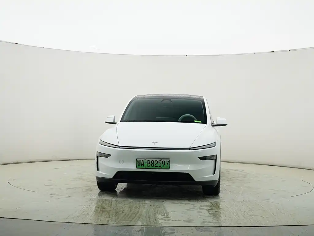 Tesla Model Y 2025 Rear-Wheel Drive 2025 - thumbnail 2