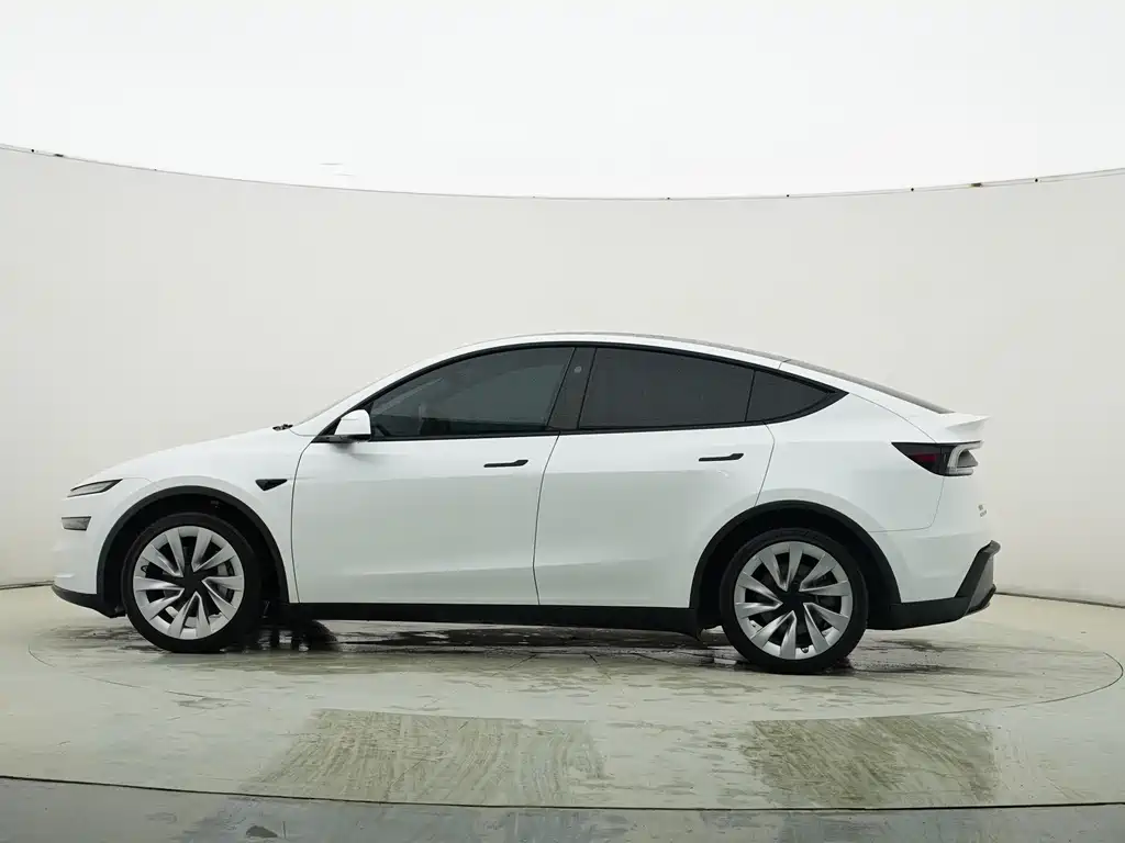 Tesla Model Y 2025 Rear-Wheel Drive 2025 - thumbnail 3