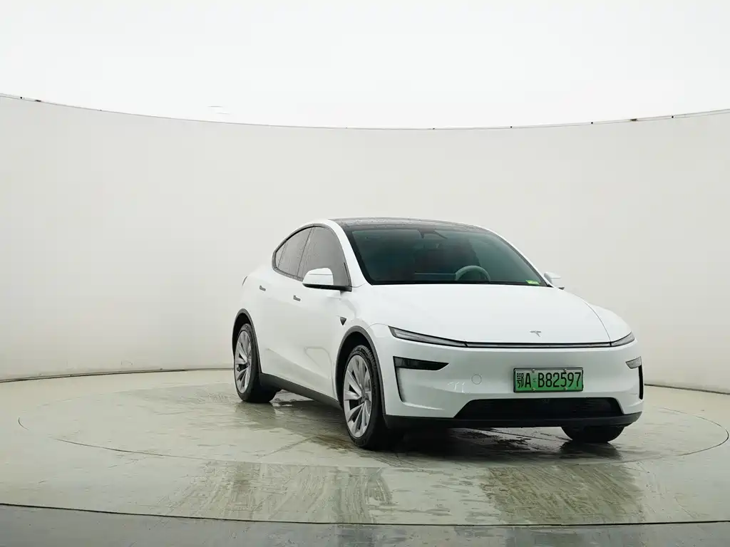Tesla Model Y 2025 Rear-Wheel Drive 2025 - thumbnail 4