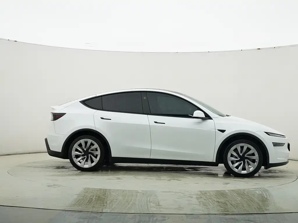 Tesla Model Y 2025 Rear-Wheel Drive 2025 - thumbnail 5