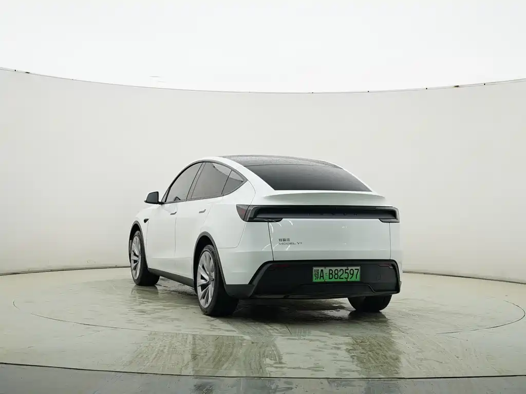 Tesla Model Y 2025 Rear-Wheel Drive 2025 - thumbnail 8