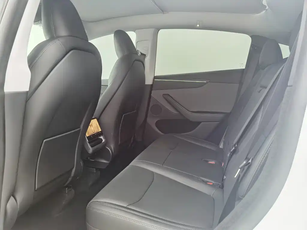 Tesla Model Y 2025 Rear-Wheel Drive 2025 - thumbnail 14