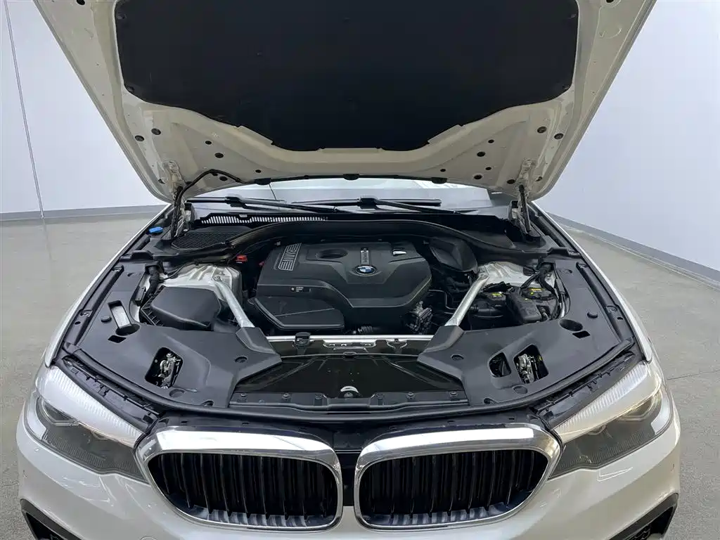 BMW BMW 5 Series 2020 525Li M Sport Package 2020 - thumbnail 9
