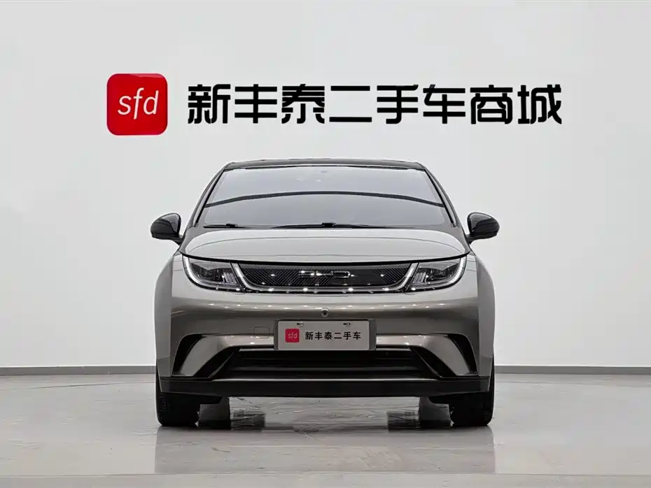 BYD Dolphin 2021 405km Freedom Edition 2022 - thumbnail 2