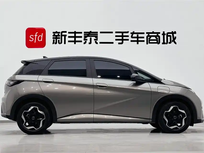 BYD Dolphin 2021 405km Freedom Edition 2022 - thumbnail 3