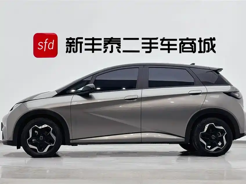 BYD Dolphin 2021 405km Freedom Edition 2022 - thumbnail 4