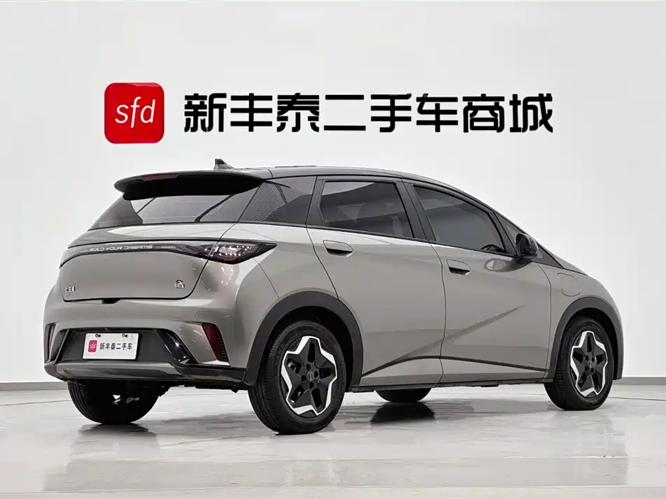 BYD Dolphin 2021 405km Freedom Edition 2022 - thumbnail 5