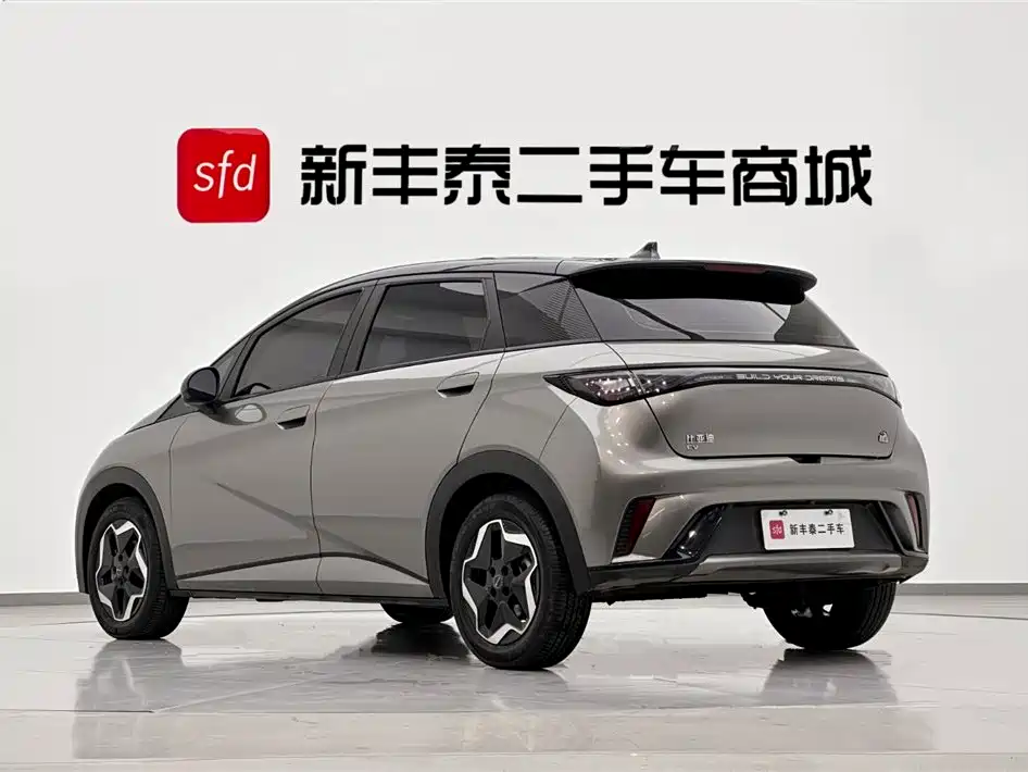 BYD Dolphin 2021 405km Freedom Edition 2022 - thumbnail 6