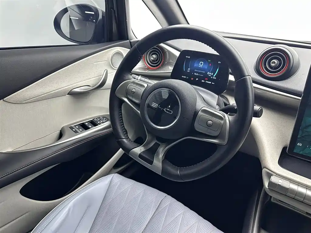 BYD Dolphin 2021 405km Freedom Edition 2022 - thumbnail 9