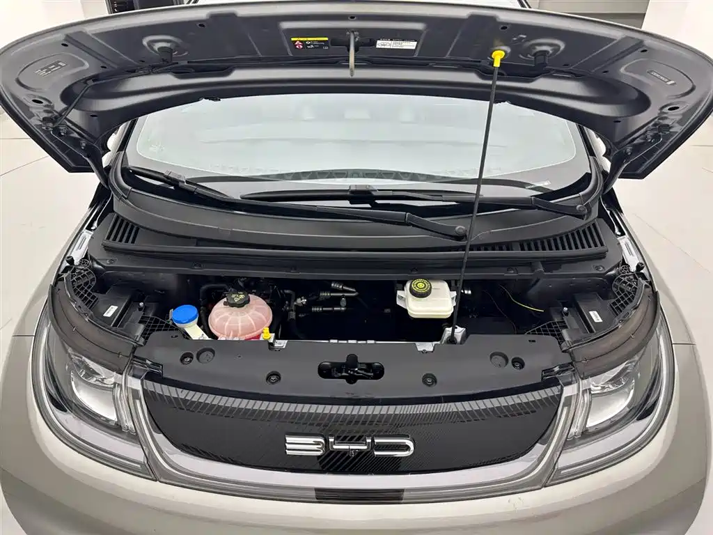 BYD Dolphin 2021 405km Freedom Edition 2022 - thumbnail 24