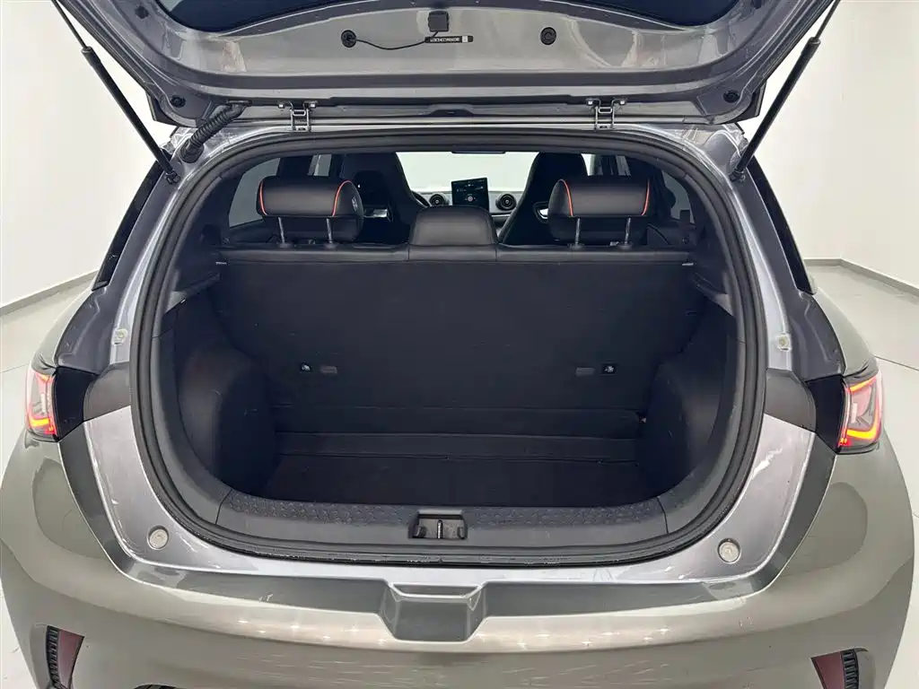 BYD Dolphin 2021 405km Freedom Edition 2022 - thumbnail 25