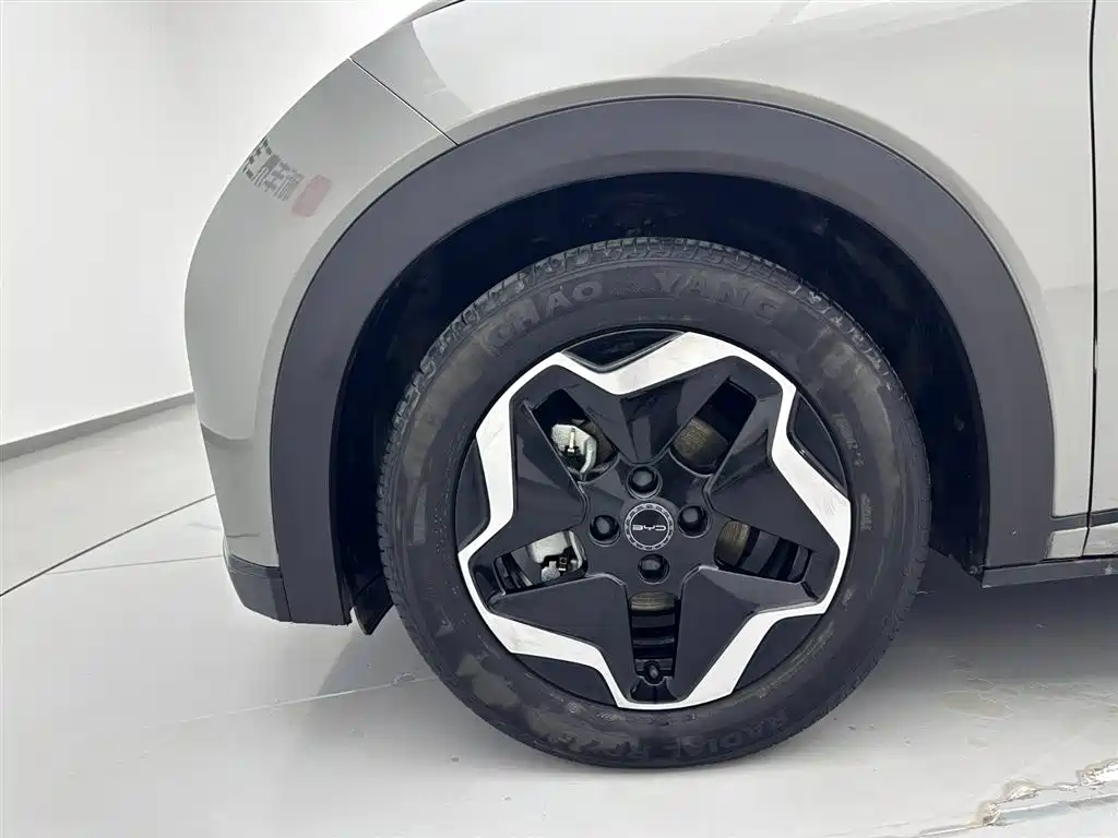 BYD Dolphin 2021 405km Freedom Edition 2022 - thumbnail 28