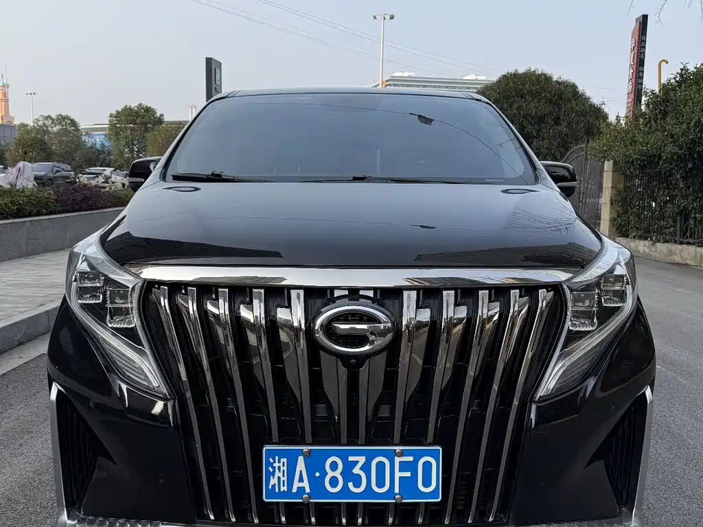 GAC Trumpchi GAC Trumpchi M8 2021 Edition Leader Series 390T Supreme Version 2021 - thumbnail 3