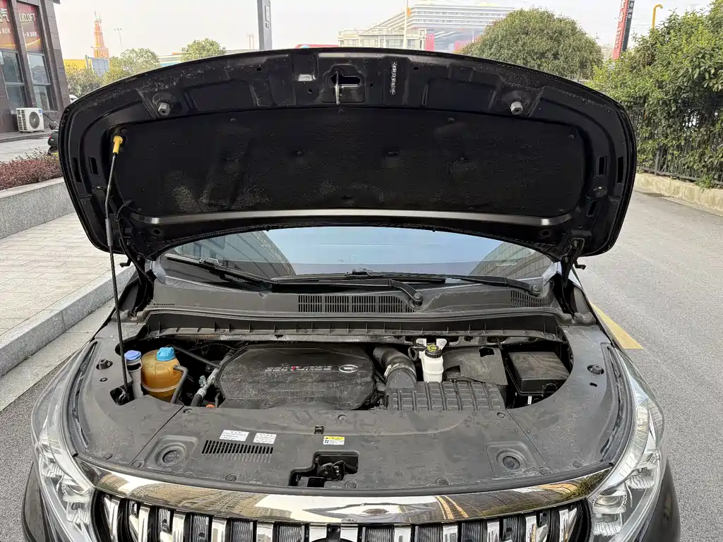 GAC Trumpchi GAC Trumpchi M8 2021 Edition Leader Series 390T Supreme Version 2021 - thumbnail 9