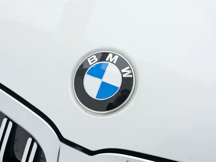 BMW BMW 3 Series 2023 320Li M Sport Package 2024 - thumbnail 9