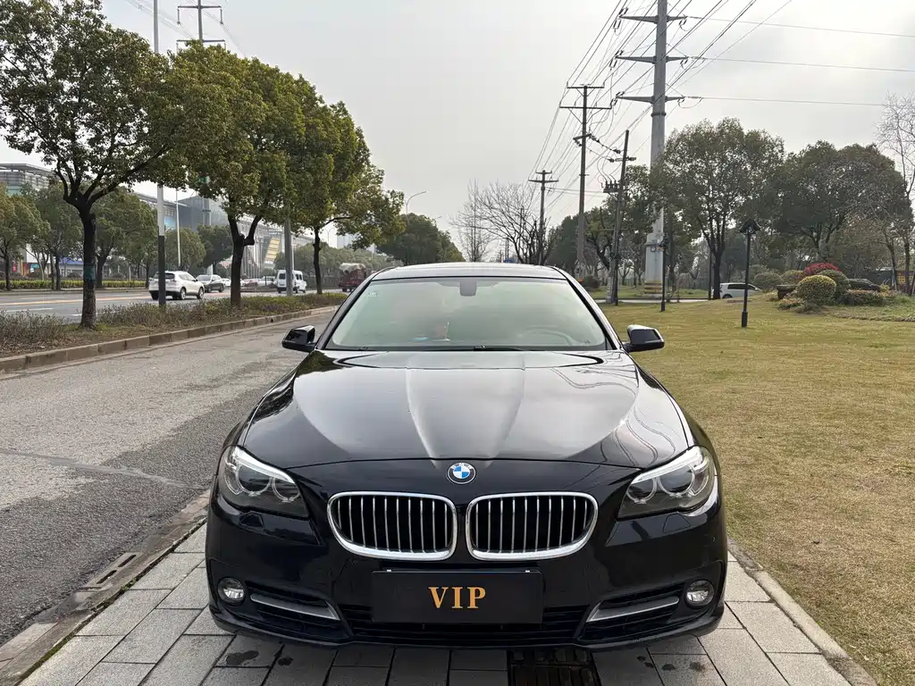 BMW BMW 5 Series 2013 520Li Elegant 2014 - thumbnail 3