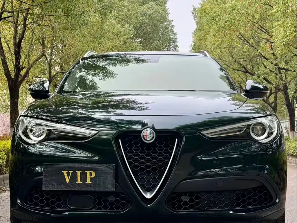 Alfa Romeo Alfa Romeo Stelvio 2017 2.0T 280HP Luxury Edition 2018 - thumbnail 2