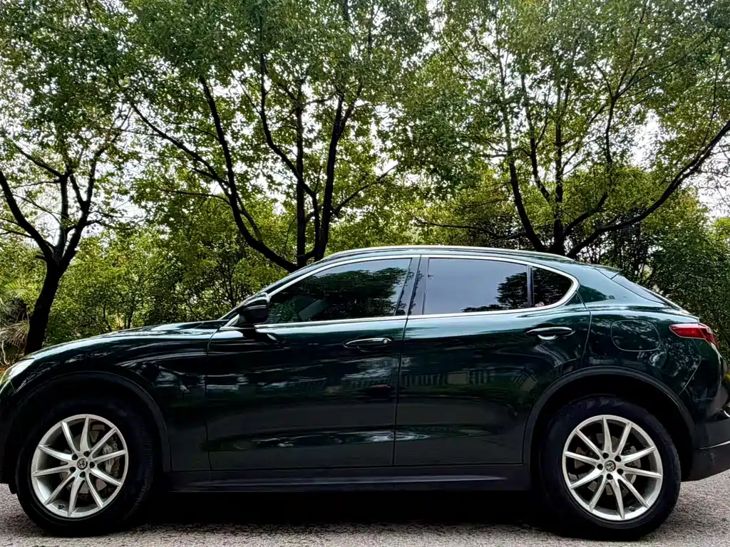 Alfa Romeo Alfa Romeo Stelvio 2017 2.0T 280HP Luxury Edition 2018 - thumbnail 3