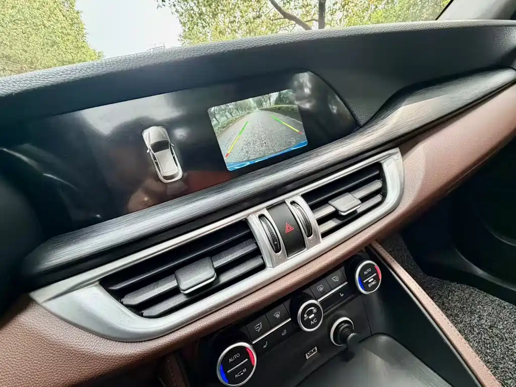 Alfa Romeo Alfa Romeo Stelvio 2017 2.0T 280HP Luxury Edition 2018 - thumbnail 6