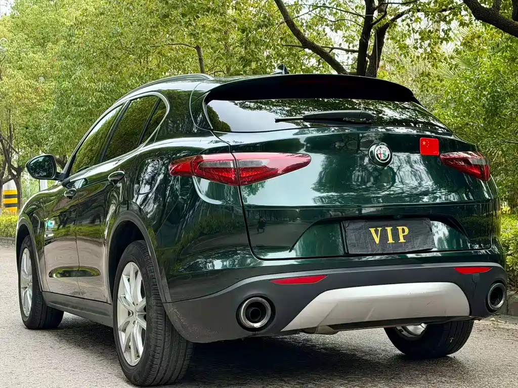Alfa Romeo Alfa Romeo Stelvio 2017 2.0T 280HP Luxury Edition 2018 - thumbnail 8
